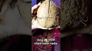 🤣ନଡ଼ିଆ ଭିତରେ ଏ କଣ 🤨#ytshorts #shortsvideo #funnyvideo