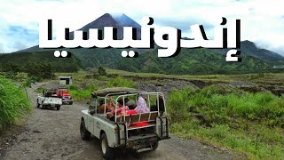 استمتع برحلة جميلة بالسيارة في قرية ماجيلانغ المذهلة بإندونيسيا #سفر  🇮🇩😍🌲🚗