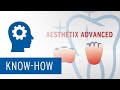 Aesthetix Advanced | Staining of restorations for an individual shade gradient