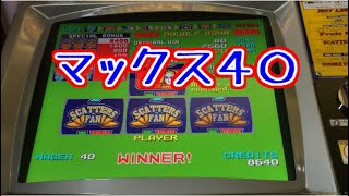 【メダルゲーム】MULTI 8WAYS MAX40【JAPAN ARCADE】