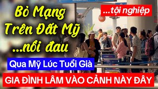 MỚI QUA MỸ ĐÃ PHẢI BỎ MẠNG VÌ LÝ DO NÀY, BÀI HỌC ĐẮT GIÁ CHO NHIỀU GIA ĐÌNH VIỆT KIỀU