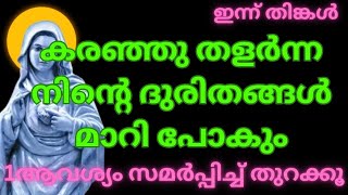 04/12/2023 നീ തളരാൻ അമ്മ അനുവദിക്കില്ല പരിശുദ്ധ അമ്മ നിന്നെ കാത്തിരിക്കുന്നു /Mary\