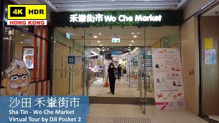 【HK 4K】沙田 禾輋街市 | Sha Tin - Wo Che Market | DJI Pocket 2 | 2022.05.30
