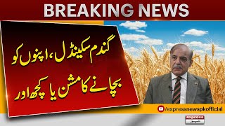 Wheat scandal | New revelation | PM Shehbaz Sharif Action | Pakistan News | Latest News