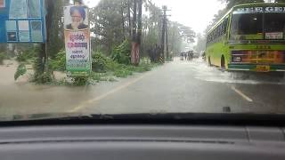 Maruti Suzuki Alto 800 wading through Flood Waters Kerala Vellikulangara, kodaly road