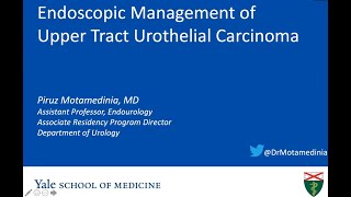 Endoscopic Management of UTUC - EMPIRE Urology Lecture Series