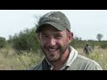 africa elephant hunt side brain shot