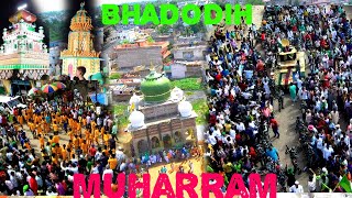 MUHARRAM JULOOS 10 ME DRON VIDEO 2019 BHADODIH JHUMRI TELAIYA KODERMA || J Q Jharkhand ||