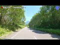 hokkaido shiretoko crossing road observation deck route 334 mt. rausu brown bear