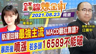 【錢線煉金術】航海王重磅回歸 「這指標」首翻紅 航運穩了？貨櫃.散裝漲停最怕一日行情！7月暴跌已成歷史？(CC字幕) @中天財經頻道CtiFinance  精華版 20210823