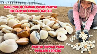 KEDUA KALINYA KESINI BARU TAU KALAU DIBAWAH PASIRNYA DIPENUHI KERANG‼️