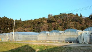 ハウス栽培【停電に備えておくと役立ちます】台風、震災など 2021/3/14