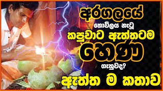 අරගලයේ වින කැටූ ඇදුරාට හෙණ වැදුනද? ඇත්ත ම කතාව /see lankan|| aragalaya || පොඩි ගුරා||