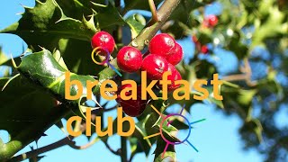 Breakfast Club, Ep. 47: Dr. Nathalie Nagalingum on Holiday Plants 🎄