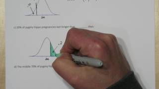 normalCDF & InvNorm on TI-84 Plus Calculator: Normal Calculations