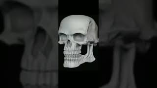 Skelebones