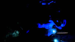 Phoebe Shuffling at B.F.E.Lectro