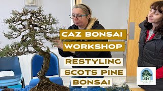 Caz Bonsai Workshop Restyling Scots Pine and Juniper