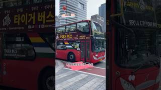 來首爾那麼多次第一次坐｜#shorts #seoulcitytourbus #seoul#visitkoreayear