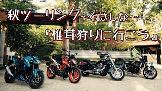 椎茸狩りツーリング〜楽しくお喋りする行きしな〜【Z900RS】【GSX-S750】【シャドウ750】【390DUKE】