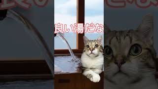 良い湯だな😸