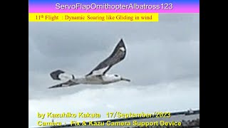 サーボ駆動アホウドリ型羽ばたき機ServoFlapOrnithopterAlbatross123 49g :11th Dynamic Soaring like Flight in wind