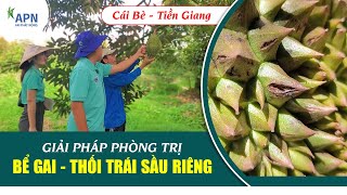 APN - GIẢI PHÁP PHÒNG TRỊ BỂ GAI - THỐI TRÁI SẦU RIÊNG