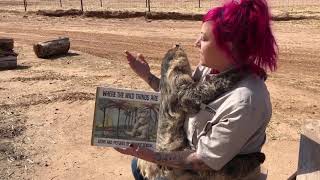 Read with sloth for Nevada reading week.