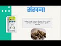 पतंजलि लिव अमृत के फायदे नुकसान व खुराक liv amrit syrup review in hindi benefits side effects