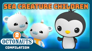 @Octonauts - 🌊 Sea Creature Children 🧒 | 3 Hours+ Full Episodes Marathon