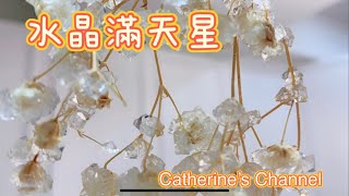 Catherine’s Channel:水晶滿天星 自己做水晶 水晶乾燥花 不會失敗的藝術品 科學實驗：明礬