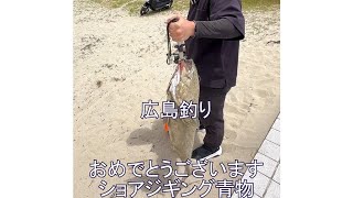 【神回】堤防の足元で怪物を釣り上げた。広島ショアジギングで青物