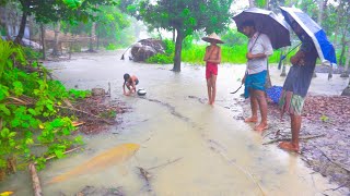 বৃষ্টির দিনে অসাধারণ মাছ ধরার দৃশ্য  - ঐতিহ্যবাহী মাছ ধরা বৃষ্টির দিনে - amazing hand fishing