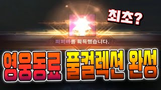 [v4 티렉] 영웅동료 풀컬렉션 찍었습니다. + 전설동료 도전까지 갑니다.