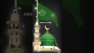Eid milad un nabi naat whatsapp status video 2020||Eid Milad Un Nabi Status || 12 Rabi Ul Awal naat|