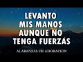 PODEROSAS CANCIONES CRISTIANAS PARA LIBERAR TU MENTE Y EL CORAZÓN - ALABANZAS VIEJITAS PERO BONITAS