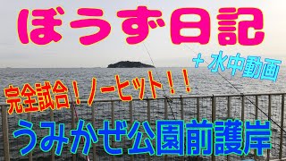 ぼうず日記+水中動画（うみかぜ公園前護岸）※2024年3月28日