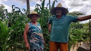 Seu Manoelzinho e dona Alzira mostrando a fartura na roça