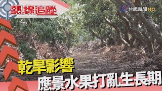 熱線追蹤 【極端氣候正步步逼近你我身邊】