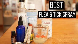 Best Ever Natural Flea and Tick Spray for Dogs and Cats