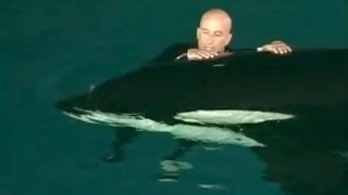 Caught on tape: Whale nearly drowns SeaWorld trainer