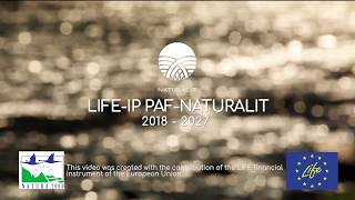 Introducing LIFE IP “Optimizing the management of Natura 2000 network in Lithuania”