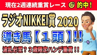 ラジオNIKKEI賞2020 データが選んだのはまさかの2桁人気!!導き馬【1頭】!!