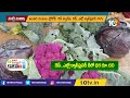 విశాఖ మన్యంలో విదేశీ పంటలు foreign crops in visakha manyam 10tv