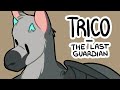 Trico (The Last Guardian) - Animation