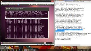 Tutorial 20 Perintah CMD windows dan terminal Linux