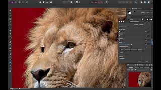 Refining Selections In Affinity Photo