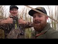 unforgettable public marsh duck hunt massive groups day 3