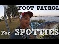 San Diego Bay Fishing - Foot Patrol For SPOTTIES