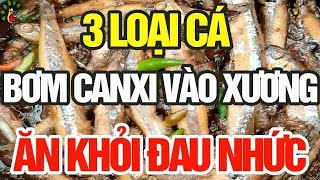 3 loại cá bơm canxi vào xương, cứ ăn là khỏi đau nhức - SKST